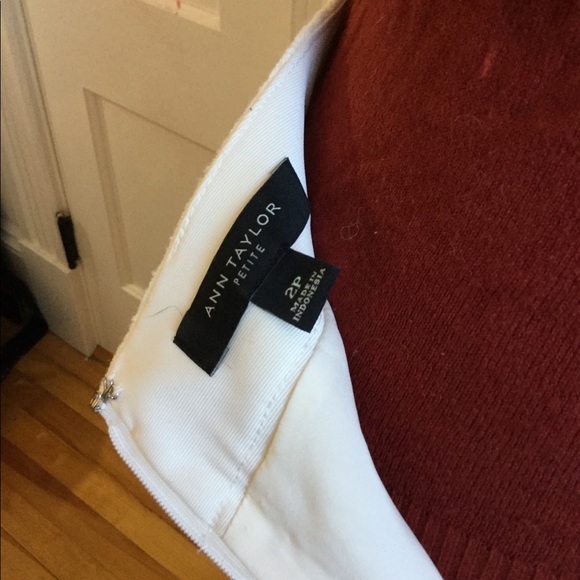 Ann Taylor Winter White Boiled Wool Skirt Sz 2P - Picture 5 of 8